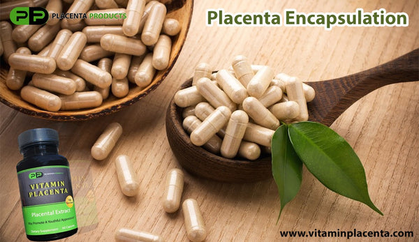 Placenta Encapsulation Benefits