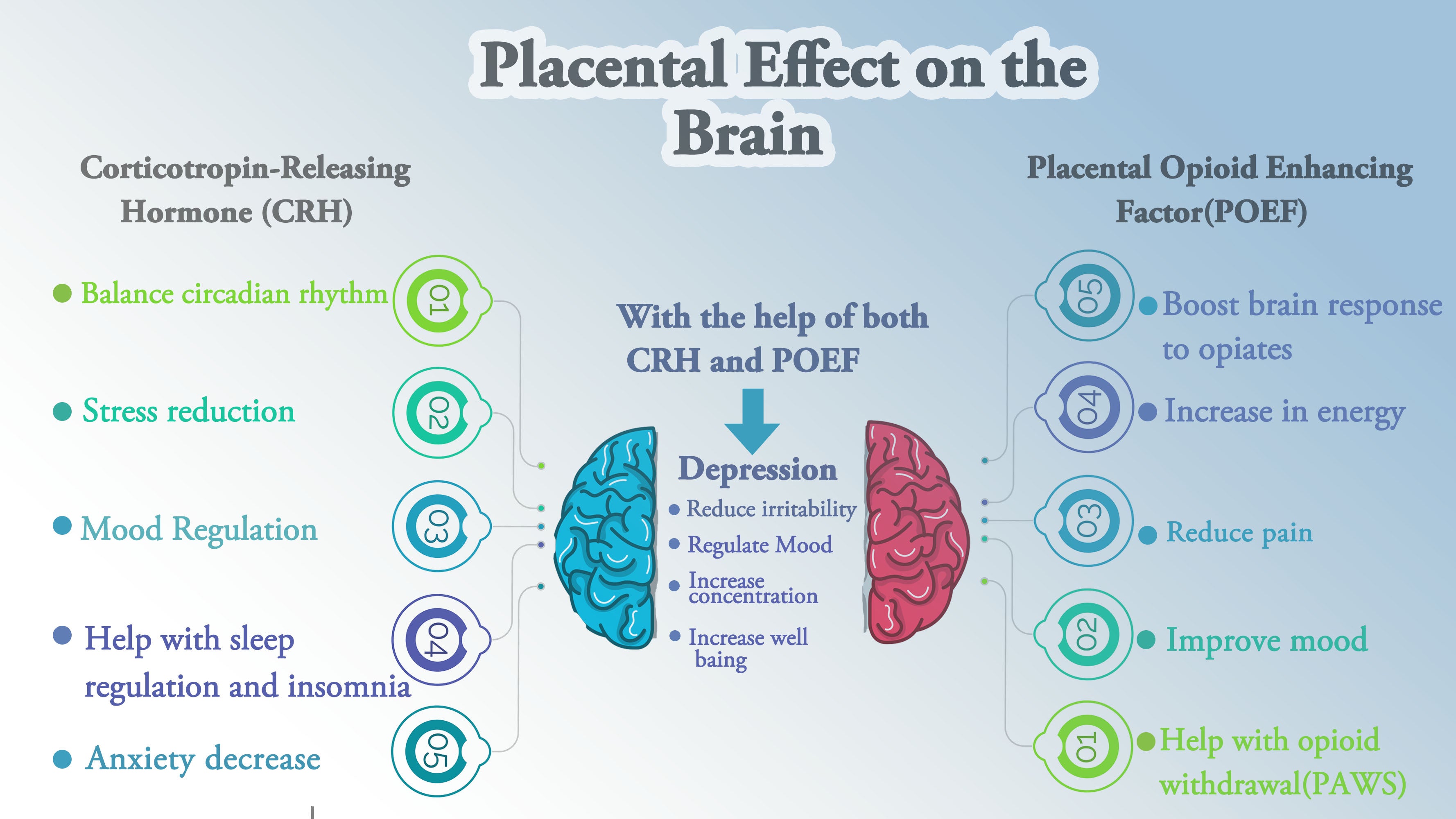 Placental Effect on the Brain Placental CRH helps reduce stress, anxiety regulate mood POEF boosts mood energy decrease pain together placenta reduces depression and increases well-being vitamin placenta placenta benefits placenta pills